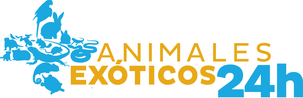 logo ANIMALES EXÓTICOS copia