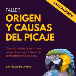 Taller Online: Origen y causas del picaje en loros