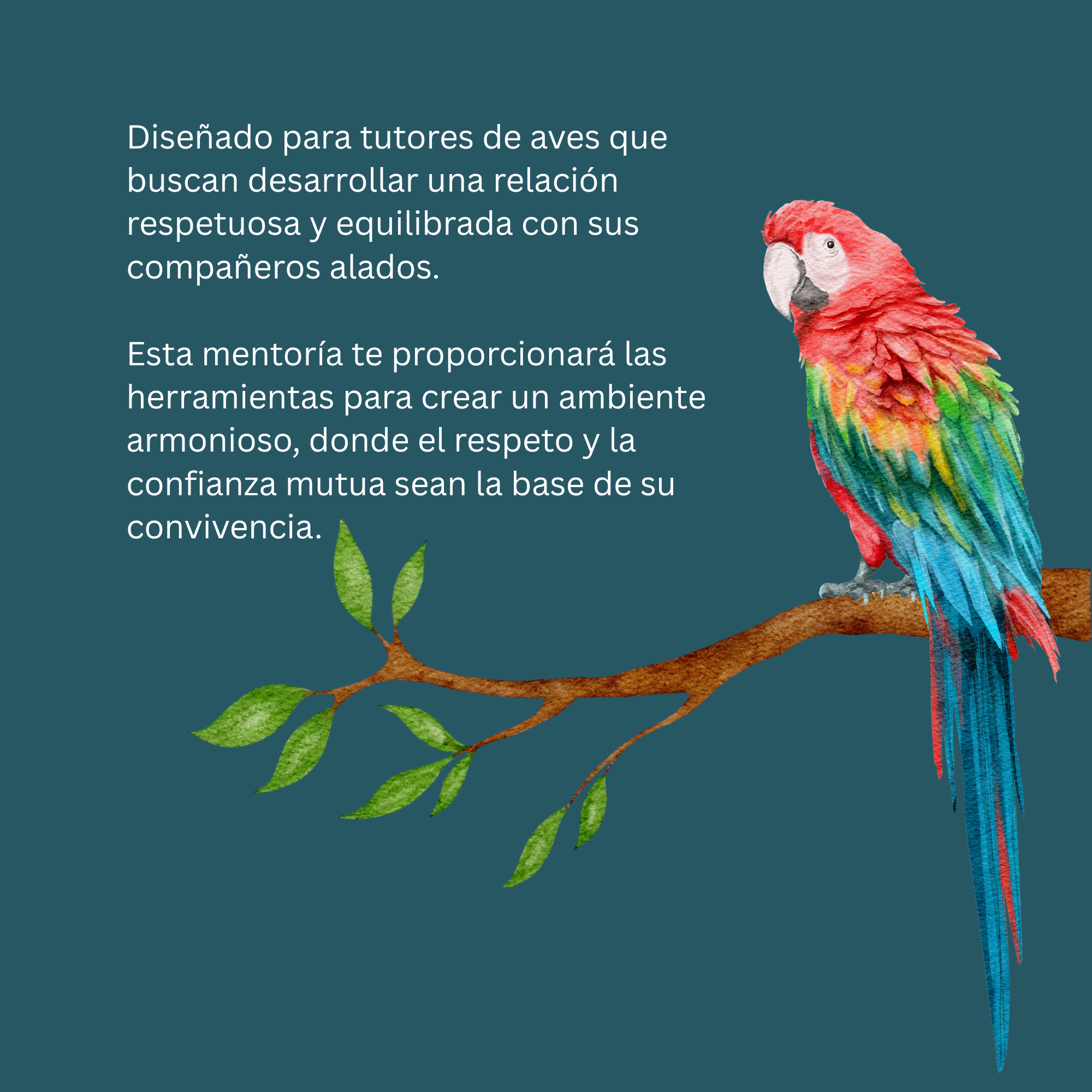 Entrenamiento en armonía (mentoría para tutores) - Imagen 2